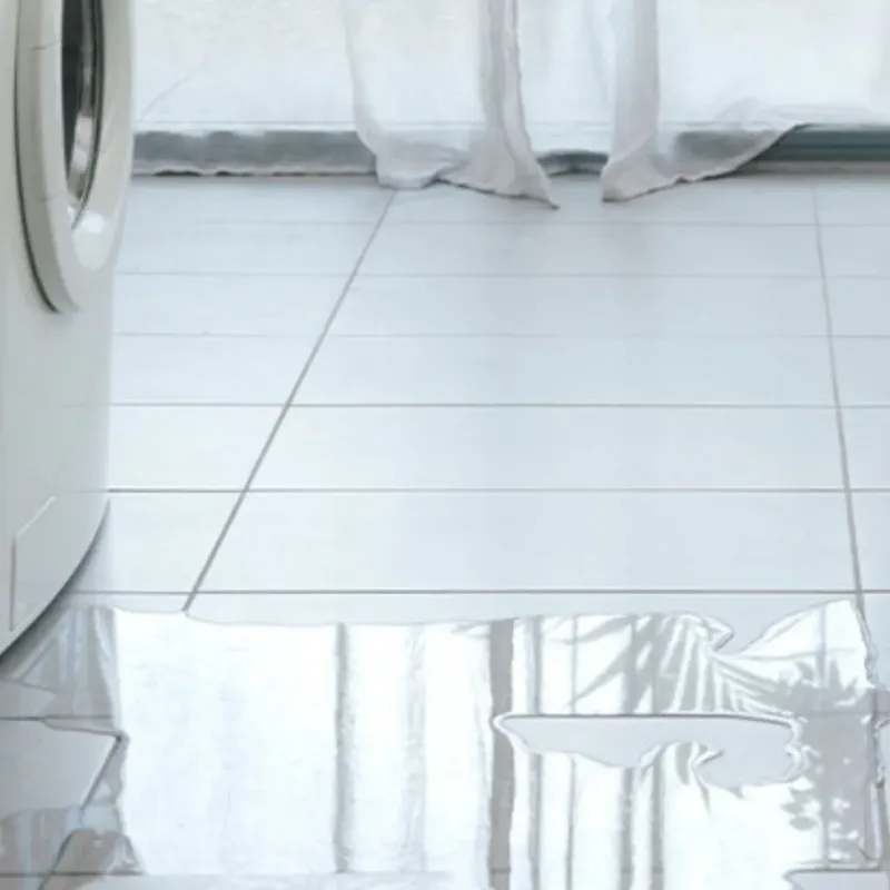 Appliance Leak Cleanup in West Melbourne, FL