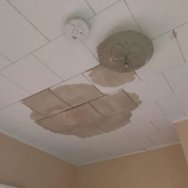 Ceiling Water Damage Repair in West Melbourne, FL